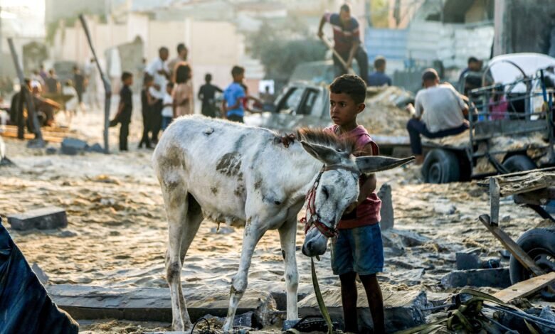 14 लोग गाजा में कुपोषण से मर जाते हैं, स्वास्थ्य मंत्रालय कहते हैं